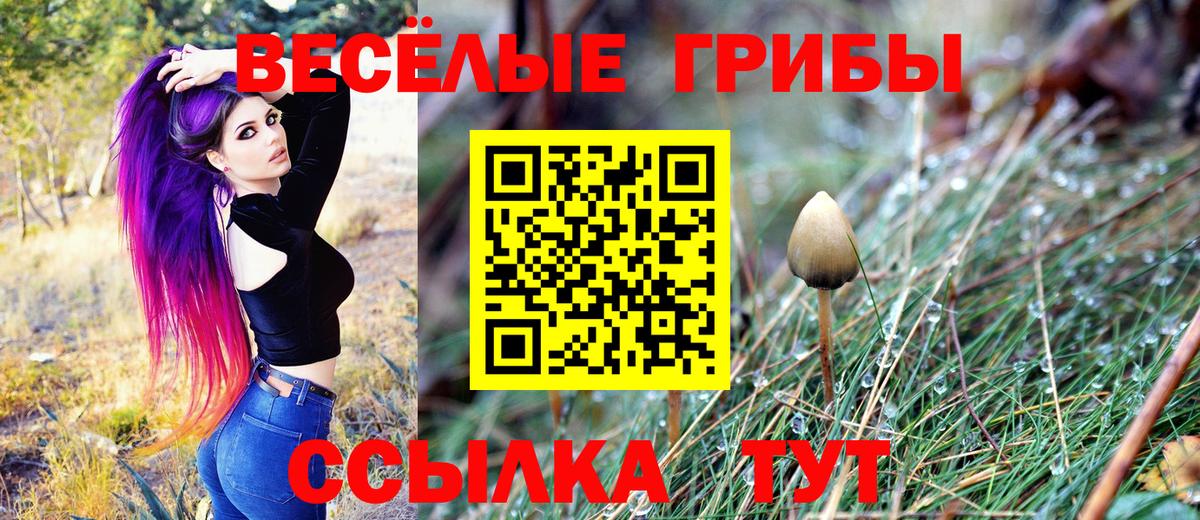 Галлюциногенные грибы GOLDEN TEACHER  Вход с VPN  Северобайкальск  Галлюциногенные грибы MAGIC MUSHROOMS 